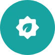 Program Development icon
